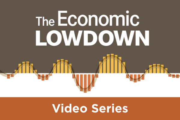 Economic Lowdown Video Series