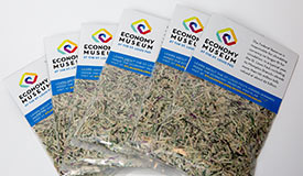 Economy Museum shredded currency