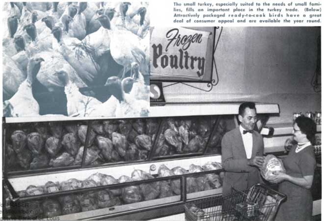 Vintage magazine photo, grocer and shopper holding small packaged turkey