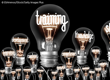 light bulbs with words written inside: training, knowledge