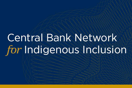 Central Bank Network for Indigenous Inclusion