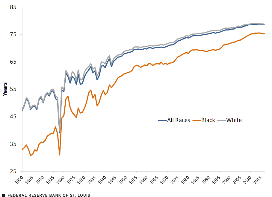 Life Expectancy at Birth, by Race