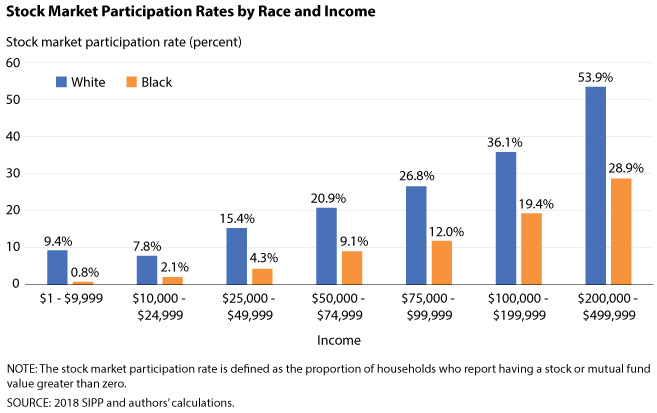 Stock market participation rates by race and income.