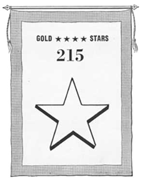 A black and white flag illustration has a big white star and “GOLD STARS” with five small black stars between the words on a line at the top and “215” below that line.