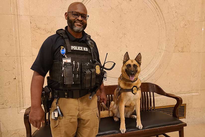 Standing man wearing badge, vest with “Police K9” lettering and various equipment holds leash of dog with badge on harness sitting on a bench