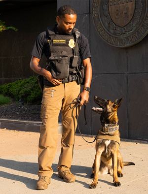 A law enforcement officer and K-9 officer look at each other outside a building with a Federal Reserve seal. 