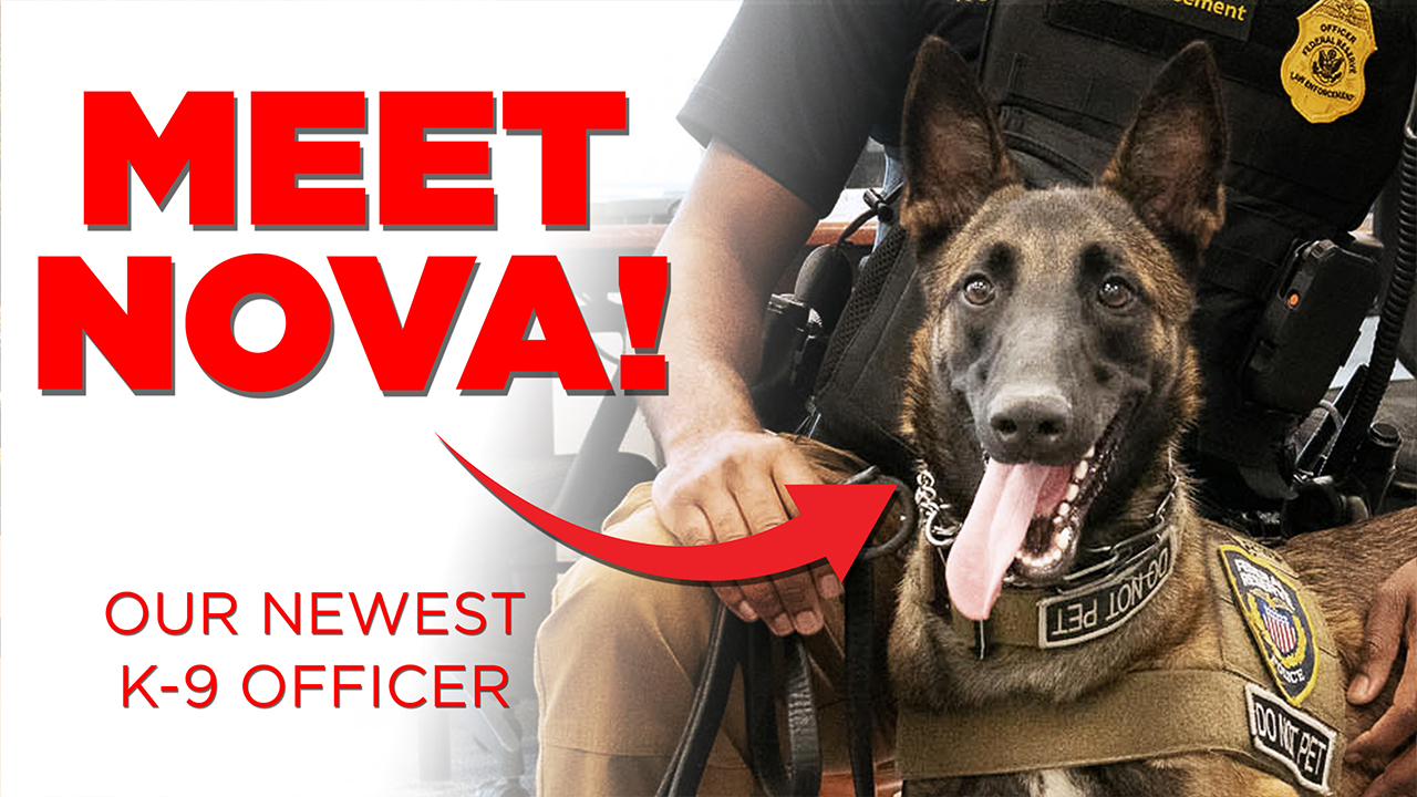 Dog with police vest and collar in front of kneeling man and text “Meet Nova! Our Newest K-9 Officer.”