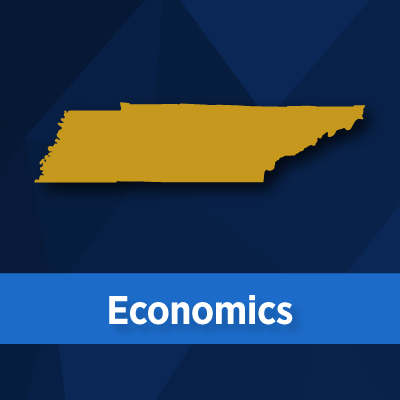 Tennessee Economics Sample Syllabus icon
