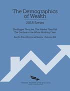 Demograhics of Wealth PDF