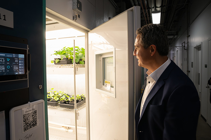 Musalem looks through an open door at plants on a shelf.