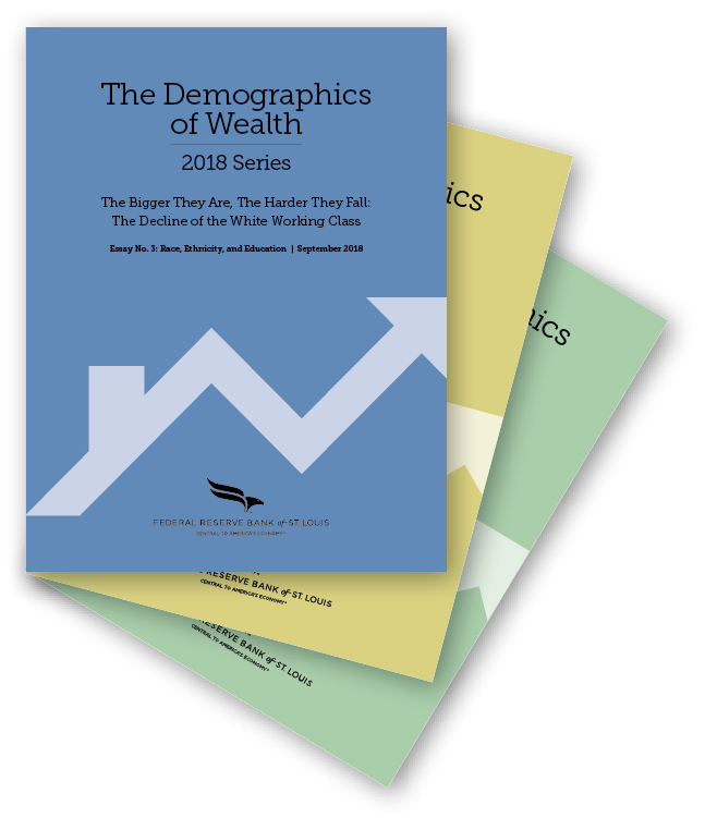 Demographics of Wealth essays