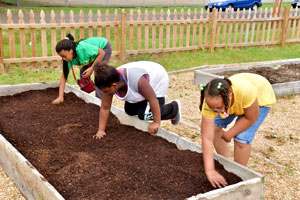 Community Garden Day at the IPC Freedom Garden
