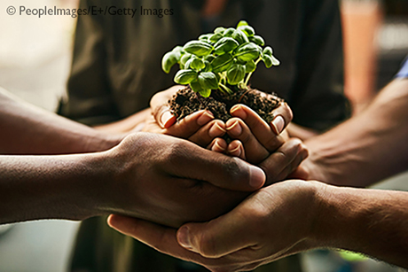 group of unidentifiable people holding a plant growing in soil