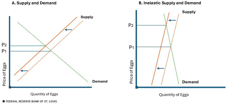Two line graphs show how the quantities of eggs supplied and demanded change at two different prices.