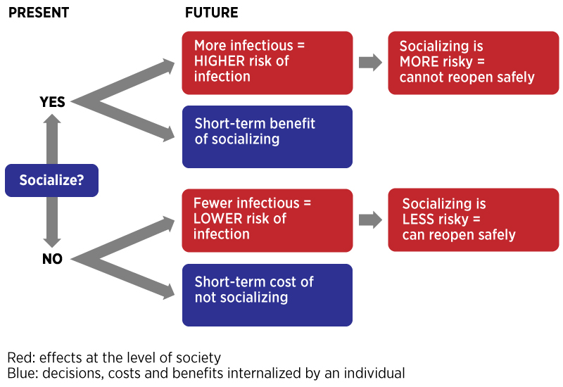 social distancing decision tree