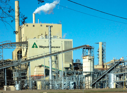 This Weyerhaeuser plant makes specially treated, fluffy, absorbent fibers for use in diapers and other products.