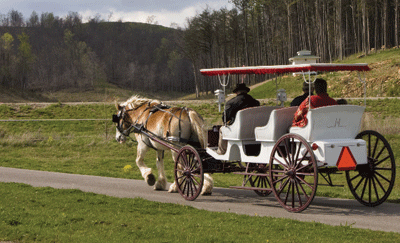 Enjoy a carriage ride on the grounds of the French Lick Resort, which consists of 3,000 acres, most of it undeveloped forest. | St. Louis Fed