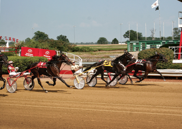 The Du Quoin State Fair.