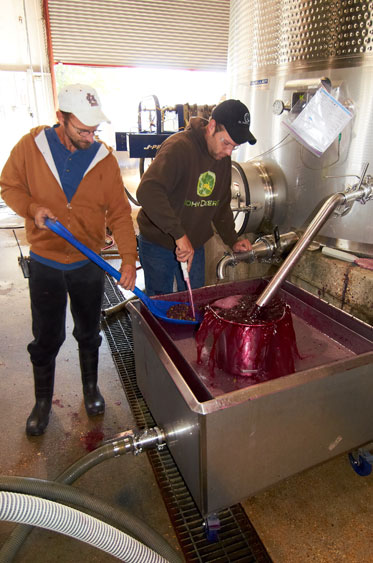 At St. James Winery, Jimmy Bailey (left) and Trevor Metzger transfer “must” to tanks for the first pressing of a batch of grapes.