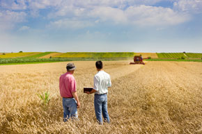 rural bank CEOs