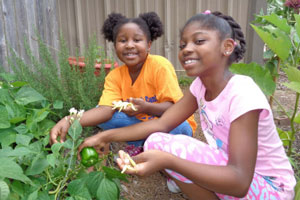 Good Food Project