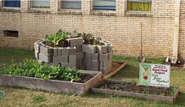 Harvesting Opportunity Good Food garden