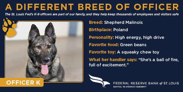 St. Louis Fed K-9 dog is a shepherd Malinois that likes green beans