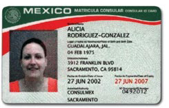 Mexican Matrícula Consular Card Explained