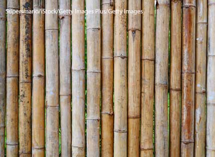 Breaking The Bamboo Ceiling St Louis Fed